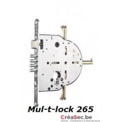 Mul-T-Lock 250