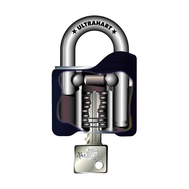 Cadenas Alpha  800