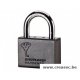 cadenas mul-t-lock C13 avec protection 