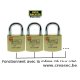 Cadenas 600 /40 Burg Wachter