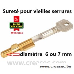 Sureté 6 mm pour serrure à gorges 