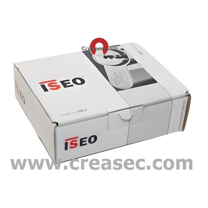 barillet-avec-la-meme-cle-iseo-r6