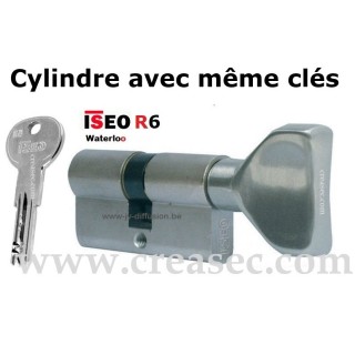 Cylindre Iseo R6 bouton mêmes clés