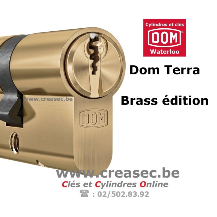 Barillet dom terra brass édition