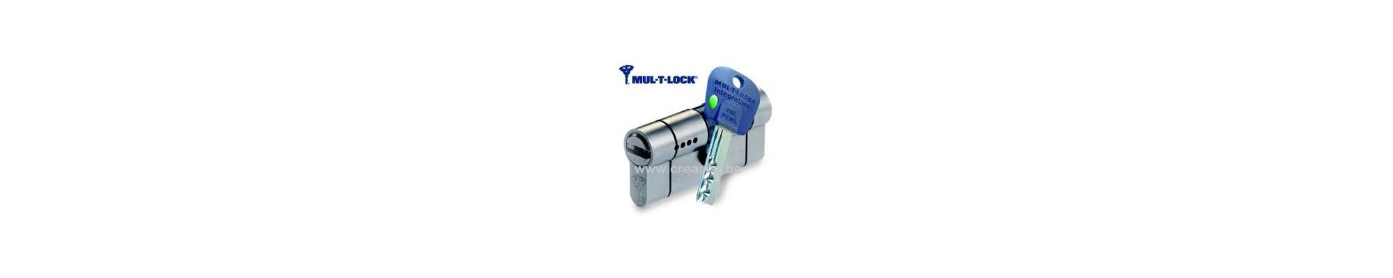 Cylindre Mul-T-Lock Integrator